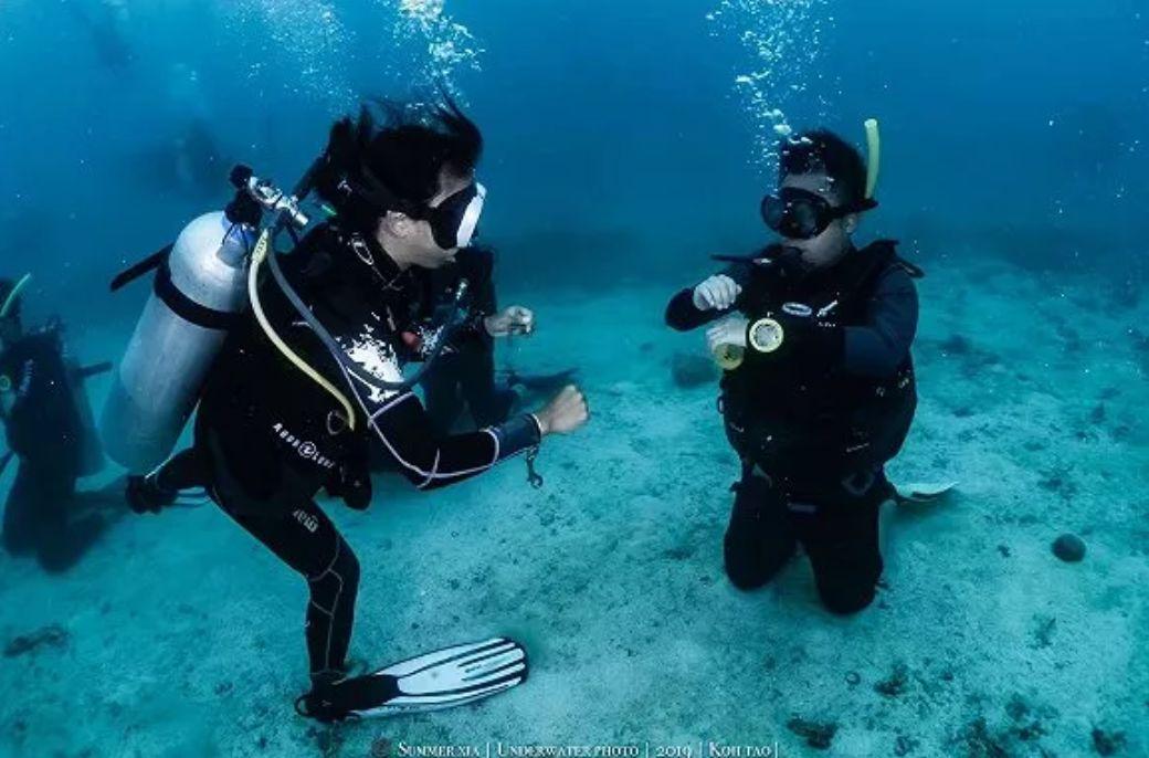 大航海之路